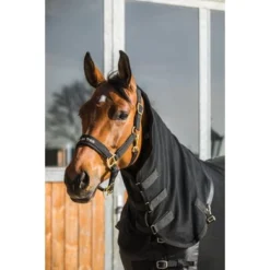 Back On Track Fleecedeken Supreme Zwart -Exporteren Paard Gear Winkel bot 061a3148 bearbeitet.899509