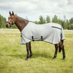 Back On Track Vliegendeken Buzter Zilvergrijs 23 Back On Track Vliegendeken Buzter Zilvergrijs -Exporteren Paard Gear Winkel bot 2107 buzter fly rug 02 800x.cf5aa5