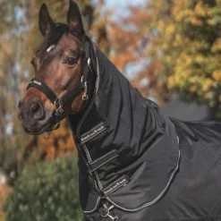 Back On Track Outdoordeken Obsidian 0g Met Afneembare Hals Zwart -Exporteren Paard Gear Winkel bot 2608 2010 obsidian turnout rug web 14.ccc9f3