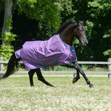 Bucas Freedom Turnout Light 0g Violet/Green 1 Bucas Freedom Turnout Light 0g Violet/Green