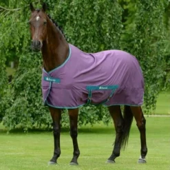 Bucas Freedom Twill Sheet 0g Violet/Green -Exporteren Paard Gear Winkel bucas freedom twill sheet violet green 417 p5076.34eedb