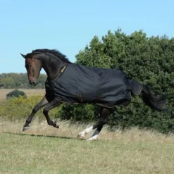 Bucas Irish Turnout 150g Black/Gold -Exporteren Paard Gear Winkel bucas irish turnout black 654 659 656 p9050.4afe86