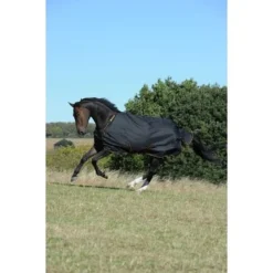 Bucas Irish Turnout Light 50g Black/Gold 22 Bucas Irish Turnout Light 50g Black/Gold -Exporteren Paard Gear Winkel bucas irish turnout black 654 659 656 p9050.f6f57a