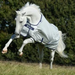 Bucas Power Turnout Light Classic 0g Silver -Exporteren Paard Gear Winkel bucas power turnout 602 614 613 p 7869.daa06f 1