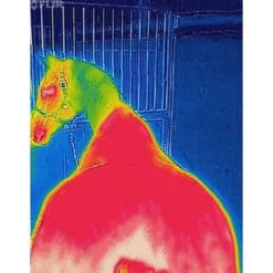 Bucas Therapy Mesh Cooler Navy/Orange -Exporteren Paard Gear Winkel bucas recuptex after shot 4 hours 5 467x600.ce8276