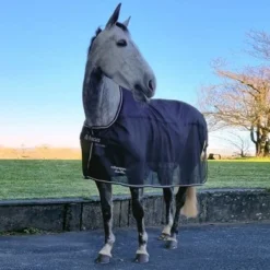 Bucas Therapy Mesh Cooler Limited Edition Black/Silver -Exporteren Paard Gear Winkel bucas therapy mesh cooler p5250.1fbb4e