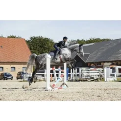 Catago Zadeldekje Hybrid Springen Periscope Cob -Exporteren Paard Gear Winkel catago 85002686 4.4dbc32