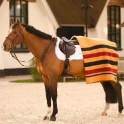 Dominick Fleecedeken Golden Stripe Newmarket 180x210 -Exporteren Paard Gear Winkel dominick dom dominick golden stripe 5.5efebc
