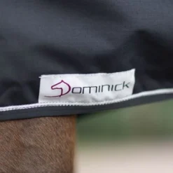 Dominick Staldeken 350g Zwart/Wit -Exporteren Paard Gear Winkel dominick staldeken zwart dom dominick stable rug black lite 5.6b0b9e 3
