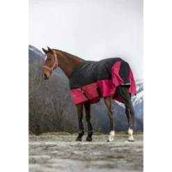 EQUITHÈME Outdoordeken Tyrex 1200D 300g Zwart/Raspberry 19 EQUITHÈME Outdoordeken Tyrex 1200D 300g Zwart/Raspberry -Exporteren Paard Gear Winkel ekk 400929466zwrtrasp2.0a9c8c