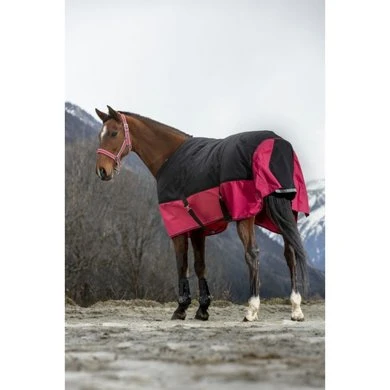 EQUITHÈME Outdoordeken Tyrex 1200D 300g Zwart/Raspberry 10 EQUITHÈME Outdoordeken Tyrex 1200D 300g Zwart/Raspberry - Afbeelding 10