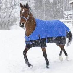 EQUITHÈME Rug Tyrex Aisance 1200D 0g Blauw/Zwart -Exporteren Paard Gear Winkel ekk 400941863blwzwrt4.f27c64 1