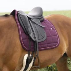 EQUITHÈME Zadeldekje Suède Dressuur Bordeaux Full -Exporteren Paard Gear Winkel ekkia 204 740 033 ambi2.451bf2