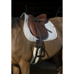 EQUITHÈME Zadeldekje Softy Jumping Grijs/Blauw Full -Exporteren Paard Gear Winkel ekkia 204 763 021 ambi1.92f2ec