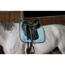 Equithème Zadeldekje Glossy Dressuur Lichtgroen Full -Exporteren Paard Gear Winkel ekkia 204 765 012 ambi1.96f920