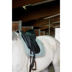 Equithème Zadeldekje Softy Dressuur Donkergroen -Exporteren Paard Gear Winkel ekkia 204 766 009 3quart1.fead65