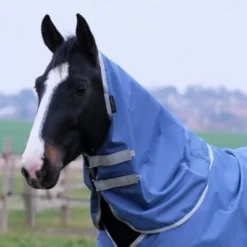 EQUITHÈME Halsstuk 600D Gerecycled 0g Blauw -Exporteren Paard Gear Winkel ekkia 400 754 003 ambi2.df58ec