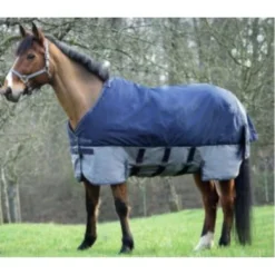EQUITHÈME Turnout Rug Tyrex Met Buikflap 600D 300g Navy/Grijs Dots -Exporteren Paard Gear Winkel ekkia aantekening 2020 04 09 082247.e30536