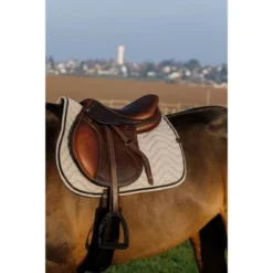 Equithème Zadeldekje Chevron Springen Grijs Full 4 Equithème Zadeldekje Chevron Springen Grijs Full -Exporteren Paard Gear Winkel ekkia equitheme chevron sjabrak 9.de749b