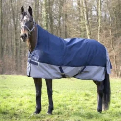 EQUITHÈME Turnout Rug Tyrex High Neck 600D 0g Marineblauw/Grijs -Exporteren Paard Gear Winkel ekkia z05253 400 916 763.265c8d