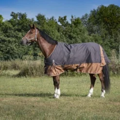EQUITHÈME Rug Aisance 600D 0g -Exporteren Paard Gear Winkel ekkia z06622 400 954 463.7c7ba2