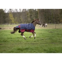 EQUITHÈME Outdoordeken Tyrex 1200D 450g Navy/Bordeaux -Exporteren Paard Gear Winkel ekkia z06783 400 926 463 ambi2.443247