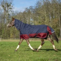EQUITHÈME Outdoordeken Tyrex 1200D 200g Met Hals Navy/Bordeaux -Exporteren Paard Gear Winkel ekkia z06785 400 935 463 ambi3.e5ef3b