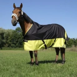 EQUITHÈME Turnout Rug Tyrex 600D 0g Zwart/Geel 21 EQUITHÈME Turnout Rug Tyrex 600D 0g Zwart/Geel -Exporteren Paard Gear Winkel ekkia z06810 400 909 463.11bfd9