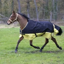 EQUITHÈME Outdoordeken Tyrex 600D Reflective 300g Zwart/Geel -Exporteren Paard Gear Winkel ekkia z06810 400 909 463 ambi3.d35a70
