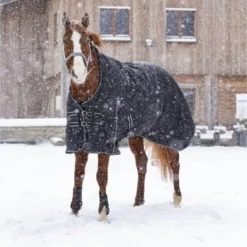 Riding World Outdoordeken Oxford 220g Zwart 5 Riding World Outdoordeken Oxford 220g Zwart -Exporteren Paard Gear Winkel ekkia z07041 400 892 263 ambin1.1f2e31