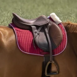 EQUITHÈME Zadeldekje Teddy Veelzijdigheid Zwart Full -Exporteren Paard Gear Winkel ekkia z07131 204 730 033 ambi.82de30