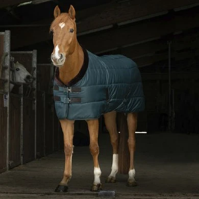 EQUITHÈME Staldeken Teddy 200g Groen/Bruin 1 EQUITHÈME Staldeken Teddy 200g Groen/Bruin