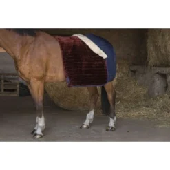 EQUITHÈME Staldeken Teddy Gevoerd Met Synthetisch Schapenvacht Navy -Exporteren Paard Gear Winkel ekkia z07135 400 809 763 det2.566572