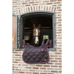Lami-Cell Zadeldekje Aurora Veelzijdigheid Bordeaux Full -Exporteren Paard Gear Winkel ekkia22 220 019 033 ambi4.6d3f7c