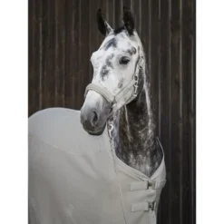 Eskadron Vliegendeken Platinum 2022 Mesh Pearlgrey 21 Eskadron Vliegendeken Platinum 2022 Mesh Pearlgrey -Exporteren Paard Gear Winkel esk 0022 kam 112738 391 210 add2.d3ea1f