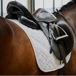 Eskadron Zadeldekje Platinum Pure Glitter Mesh Dressuur Wit -Exporteren Paard Gear Winkel eskadron esk 0123 kam 218631 502 01087a3a8.94765a