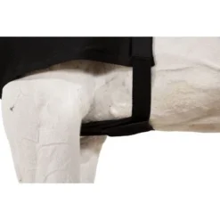 Eskadron Borstbeschermer Zwart -Exporteren Paard Gear Winkel eskadron esk 313000 240 290 add1.f3cb62