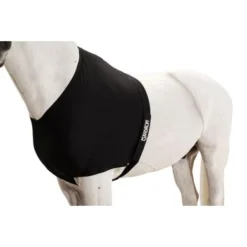 Eskadron Borstbeschermer Zwart -Exporteren Paard Gear Winkel eskadron esk 313000 240 290 add2.c3276f