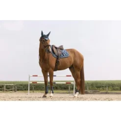 EQUITHÈME Zadeldekje Oslo Blauw Full -Exporteren Paard Gear Winkel et 204 735 040 ambi1.adb9e0