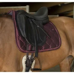 EQUITHÈME Zadeldekje Oslo Dressuur Bordeaux Full -Exporteren Paard Gear Winkel et 204 736 033 ambi1.1172fe