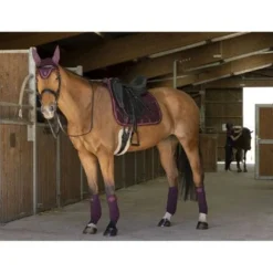 EQUITHÈME Zadeldekje Oslo Dressuur Bordeaux Full -Exporteren Paard Gear Winkel et 204 736 033 ambi2.f2f792