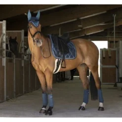 EQUITHÈME Zadeldekje Oslo Dressuur Blauw Full -Exporteren Paard Gear Winkel et 204 736 040 ambi2.7ddfe1