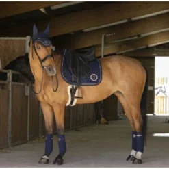 EQUITHÈME Zadeldekje Skolstart Dressuur Navy Full -Exporteren Paard Gear Winkel et 204 738 007 ambi2.aa2a37