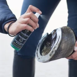 Excellence Hoefspray Hoof Expert Groen 150ml -Exporteren Paard Gear Winkel excellence hoof expert 2.78bb32