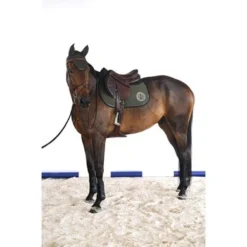 Harcour Veelzijdigheidszadeldekje Karembar Khaki Full 5 Harcour Veelzijdigheidszadeldekje Karembar Khaki Full -Exporteren Paard Gear Winkel harcour karemar kaki site2.a11170