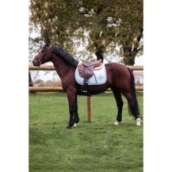 Exporteren Paard Gear Winkel -Exporteren Paard Gear Winkel harcour sabour blue site1.38f6a6