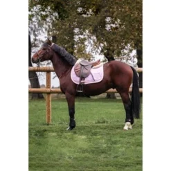 Harcour Zadeldekje Sabourg Springen Roze Full 3 Harcour Zadeldekje Sabourg Springen Roze Full -Exporteren Paard Gear Winkel harcour sabour rose site1.7e5371