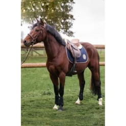 Harcour Zadeldekje Saopsa Springen Navy Full