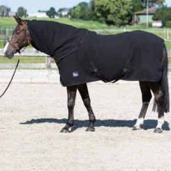 Harry's Horse Fleecedeken Met Oprolbare Hals Zwart -Exporteren Paard Gear Winkel harry 32200063 zwart 2.85f7aa