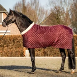 HB Showdeken Showtime Burgundy